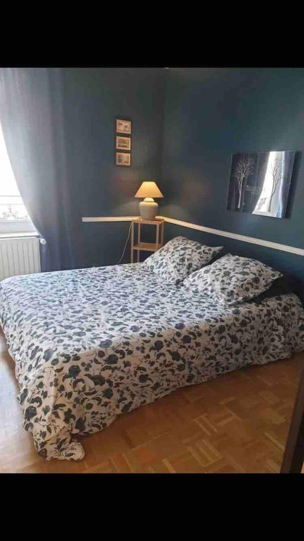 Duplex 4 Couchages Chaleureux Gare Sur Place Nogent-l'Artaud Exterior foto